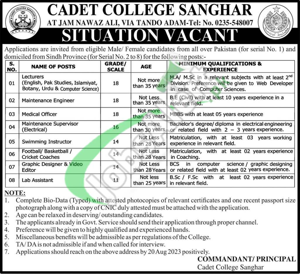 Cadet College Sanghar Jobs