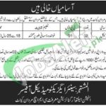 Station Health Organization Mardan Jobs