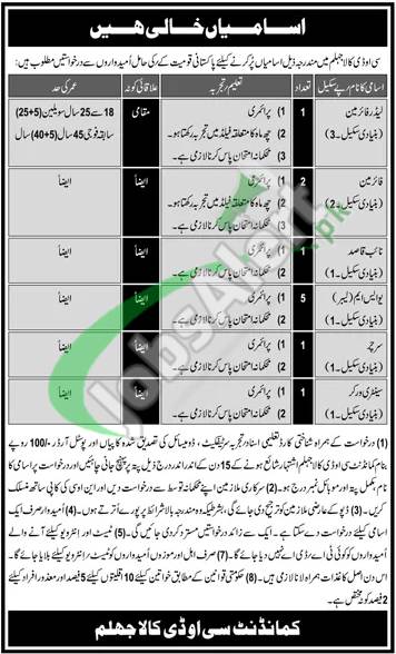 COD Kala Jhelum Jobs