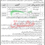 Public Sector Organization KPK Jobs 2025 PO Box 07 Mardan Career Offers PO Box 07 Mardan Jobs