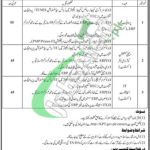 Karachi Port Trust Job