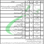 CMT & sd Golra Rawalpindi Jobs 