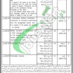 Session Court Bannu Jobs 