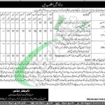 Population Welfare Department Balochistan Jobs