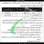 CMH Badin Jobs