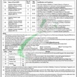 CTD Jobs