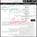 Livestock KPK JObs