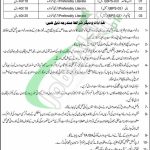 Civil Court South Waziristan Jobs