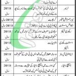 PO Box 7734 Saddar Karachi Jobs