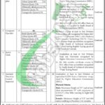 Excise and Taxation Sindh Jobs 2026 Online Apply | sjp.gos.pk Excise and Taxation Sindh Jobs