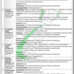 Ministry of Privatization Jobs