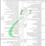 PPHI Sindh Jobs