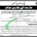 SBP Jobs