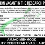 UVAS Jobs