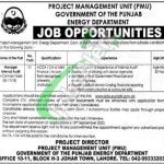 Energy Department Punjab Jobs