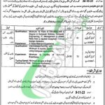 Jail Khana Jat Punjab Jobs