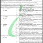 Planning & Development Department Sindh Jobs