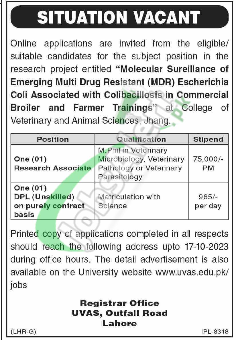 UVAS Jobs