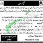 Session Court Panjgur Jobs