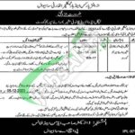 PHA Sahiwal Jobs