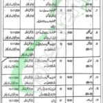 Mines & Minerals Department Punjab Jobs