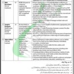 Trade Development Authority of Pakistan Jobs