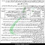 Punjab Institute of Cardiology Jobs