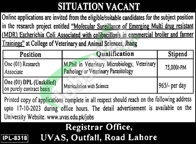 UVAS Lahore Jobs