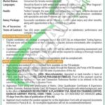PIA Cabin Crew Jobs