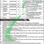 Divisional Public School & College Toba Tek Singh Jobs 