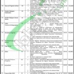 Primary and Secondary Healthcare Department Punjab Jobs 