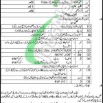 Pakistan Rangers Jobs 