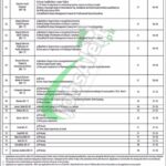 Pakistan Boy Scouts Association Jobs