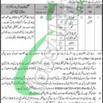 Population Welfare Department Sindh Jobs 2025 Latest Advertisement Population Welfare Department Sindh Jobs