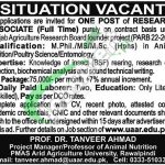 PMAS Arid Agriculture University Rawalpindi Jobs 