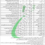 608 Regional Workshop EME Bahawalpur Jobs