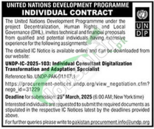 UNDP Pakistan Jobs