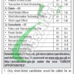 Ministry of Privatization Jobs 2025 Application Form Download Ministry of Privatization Jobs