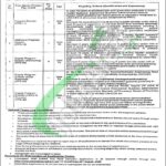Health & Population Department Punjab Jobs
