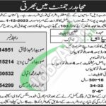 Mujahid Force Jobs