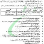 Health Department Faisalabad Jobs