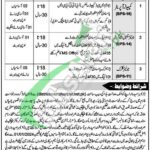 Session Court Haripur Jobs