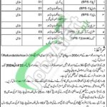 CMH Okara Jobs