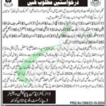 Population Welfare Department Balochsitan Jobs