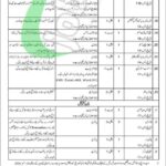 701 Regional Workshop EME Okara Jobs