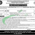 Punjab Danish School Rahim Yar Khan Jobs