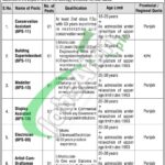 National Heritage and Culture Division Jobs 2025 Islamabad Latest National Heritage and Culture Division Jobs