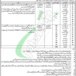 District Health Authority Lahore Jobs