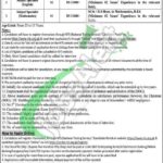 DPS Sheikhupura Jobs