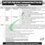 Cantonment Board Pano Aqil Jobs